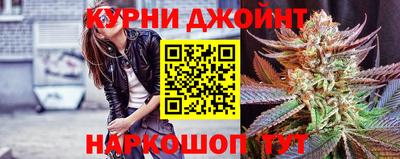 СК Бийск