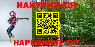 СК Бийск