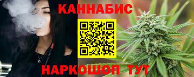 СК Бийск
