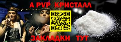 СК Бийск