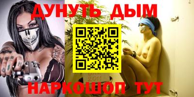 СК Бийск