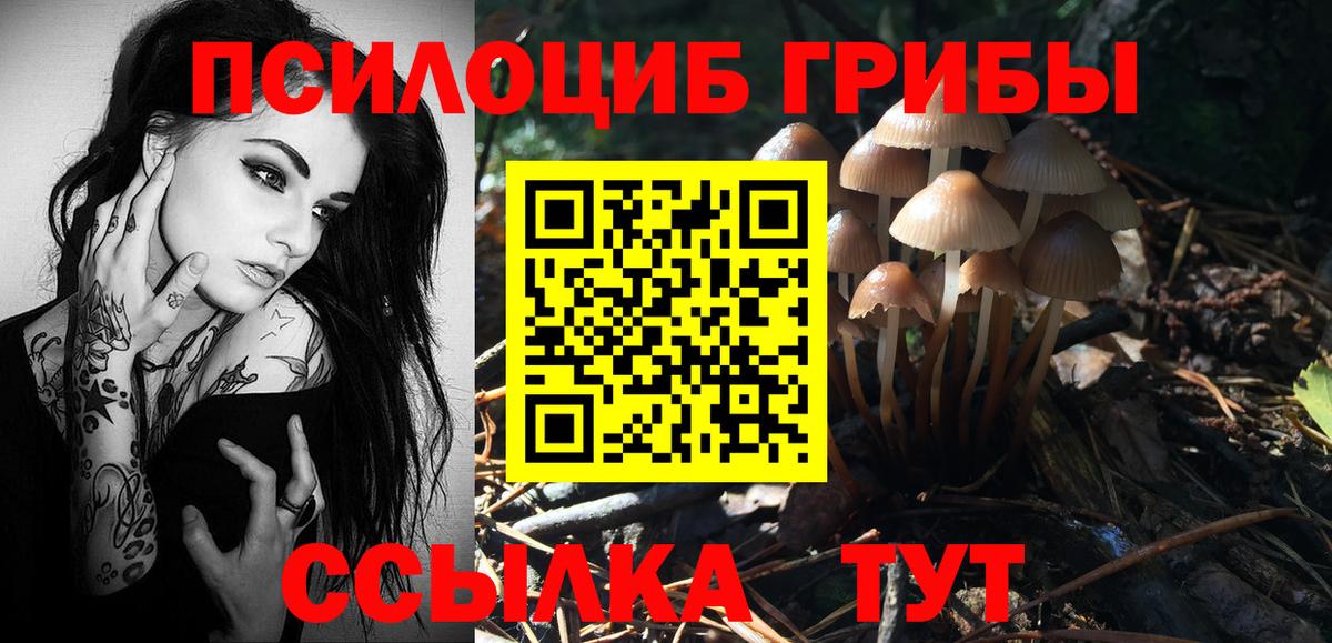 Псилоцибиновые грибы мицелий Выкса