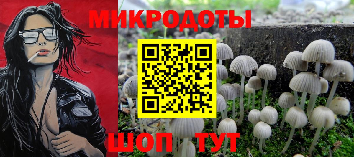 Псилоцибиновые грибы мицелий  сколько стоит  Выкса  Вход с VPN 